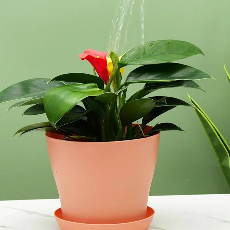 Vasos de plantas com bandeja para plantas em vasos verdes, boa tolerância, custo-benefício, altura 11,5 cm, resina plástica