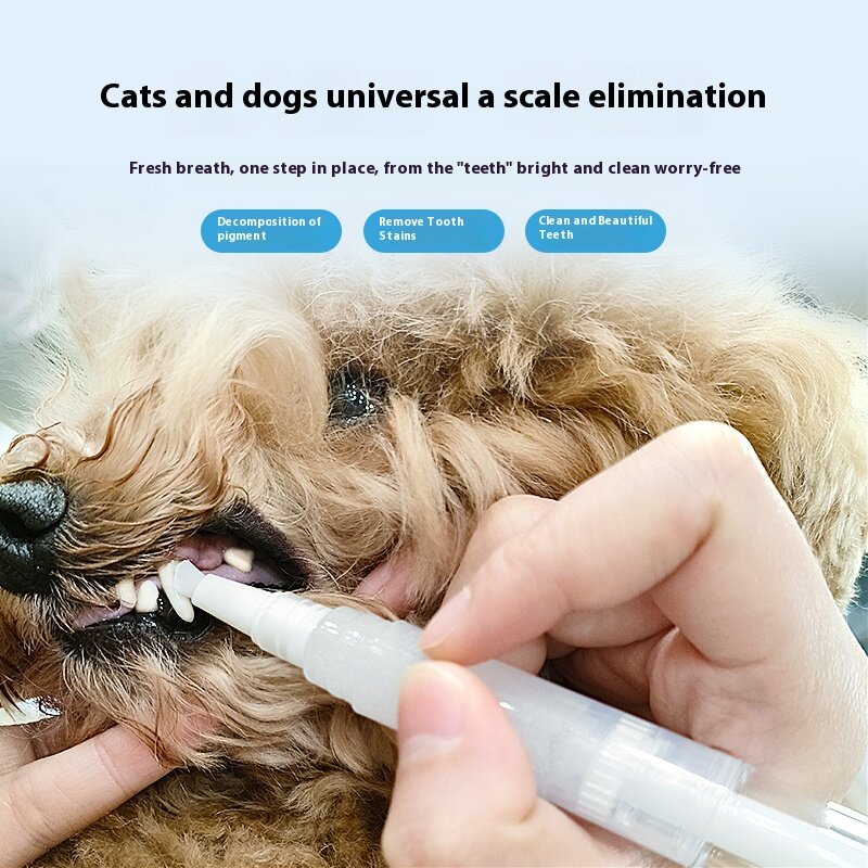 애완 동물 칫솔 펜 치아 깨끗한 신선한 호흡 애완 동물 칫솔 페이스트 브러시, 사용하기 쉬운 고양이 칫솔 세트 액세서리