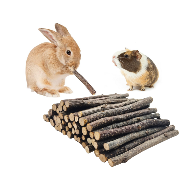 XLpeixin 100g zabawki dla chomika zabawki dla zwierząt domowych jabłoń w sztyfcie gryzaki trzonowy dla królika królika szynszyla zabawki z naturalnego drewna
