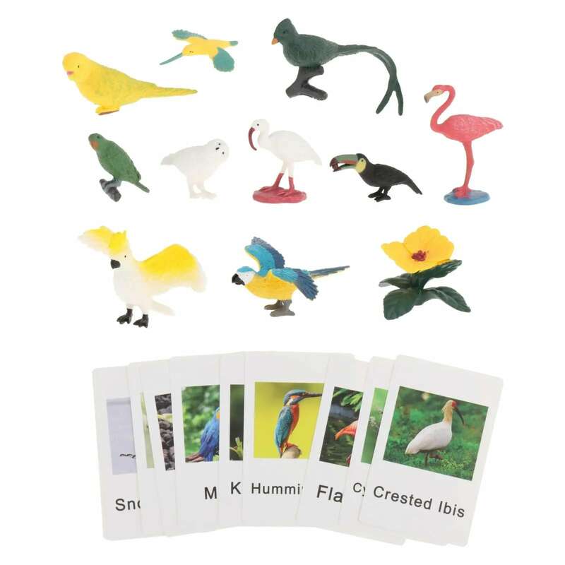 Montessori Animal Figures with Flash Cards Educational Matching Game for Homeschool Science Cognitive Preschool Teaching Aid