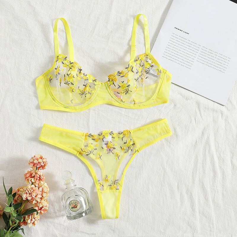 2024 Sexy Lingerie Woman Lace Transparent Underwear Fairy Embroidery Brief Sets Delicate Bra Kit Push Up Breves Sets Erotic Bra