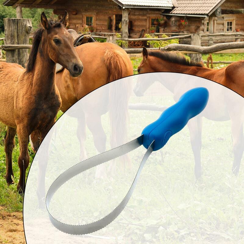 Horse Brush Scraper Horse Brush Durable Portable Double Sided Shedding Blade for