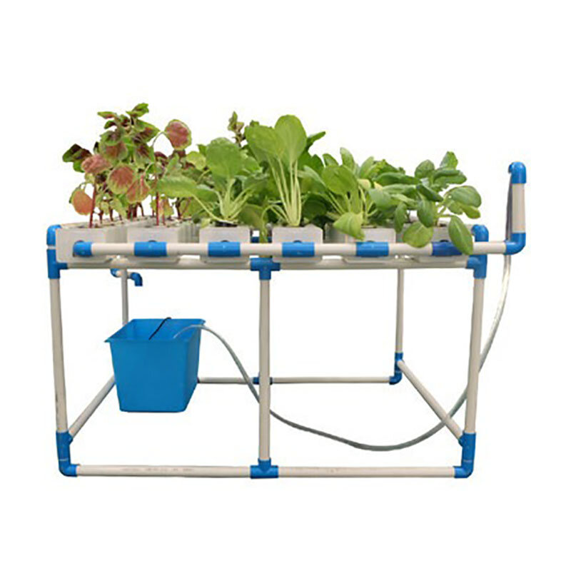 Kit hydroponique automatique système Lauren, jardinière de légumes hydroponique, système aérobie à 6 tubes, équipement de culture de jardinage