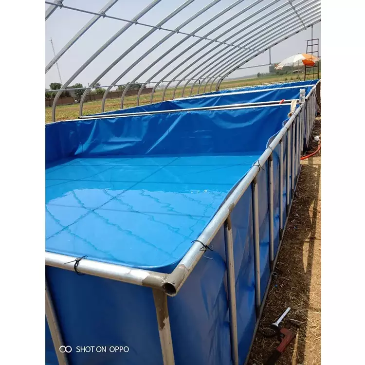 Commercial New Design Metal Frame Outdoor Inflatable Family Baby Water Pool Price