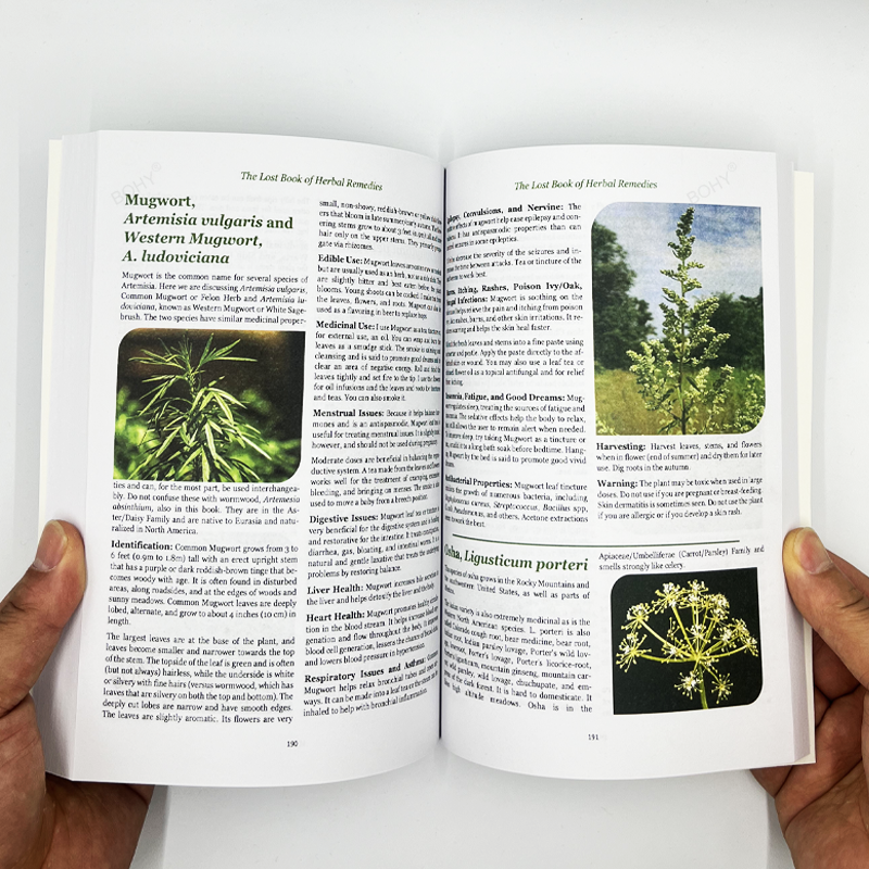 O Poder de Cura da Planta, O Livro Perdido das Ervas, Remédios de Medicina, Páginas Interiores Coloridas, Brochura
