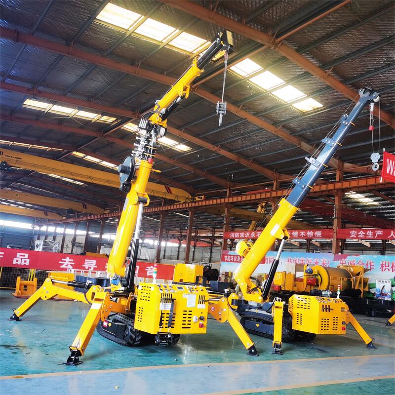 Spider Crane 3 To Other Cranes Lift Tables 14m Lift Elevators with Fly Jib for Sale