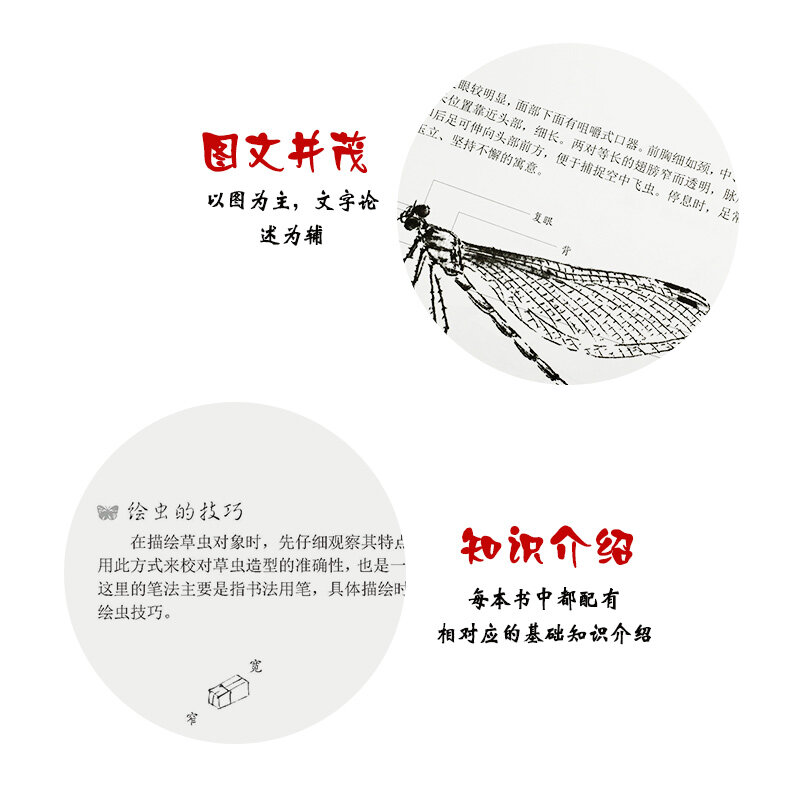 Dessin blanc enge insecte, dessin blanc, dessin au pinceau méticuleux, brouillon de dessin blanc, album fleur et oiseau intérieur du maire