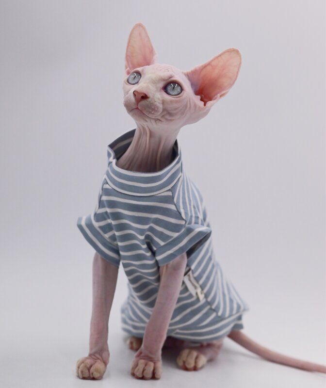 Sphynx Cat Clothes Algodão Hairless Cat Vest Bebê 100% Algodão Macio Verão Sem Mangas Fino Vest Cat Clothes para Devon, Cornish