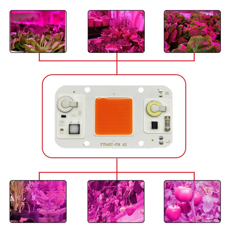 AC110V 220V LED ชิป COB 20W 30W 50W สีขาวเย็นอบอุ่นสีขาว Light Full Spectrum Emitting ไดโอด LED Matrix ในร่มพืช
