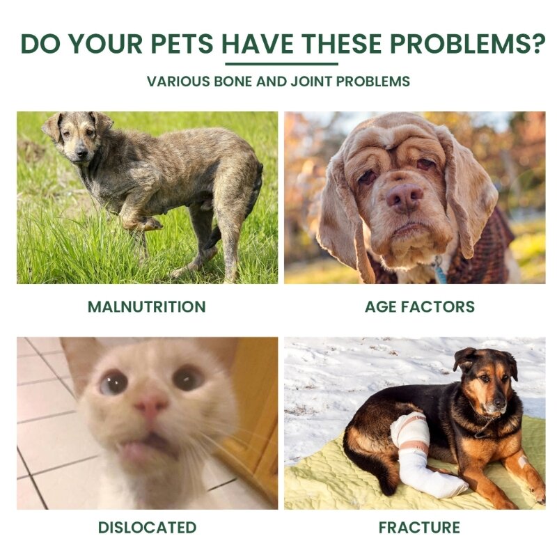 30ml Pet Joint Health Drops Natural Joints Caring Solution โรคข้ออักเสบ Healing สูตรสำหรับแมวสุนัข Bone Hip Aches Drop shipping