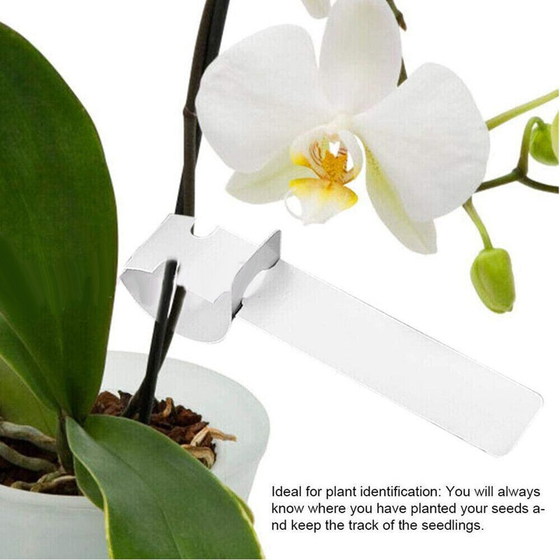 Tags Pflanzen etiketten Gemüse wasserdicht weiß 200 stücke Bonsai Blume nach Hause Nursey Kunststoff platte Garten hohe Qualität