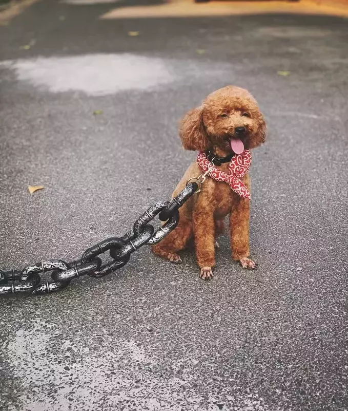 Cadena de tracción de hierro grande simulada para mascotas, cuerda para caminar para gatos, Collar de perro de peluche
