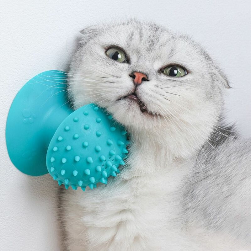 TPR Self Groomer Combs com Ventosa, Massageador Pet, Scratcher para gatos, Escova de massagem, Massageador resistente ao desgaste
