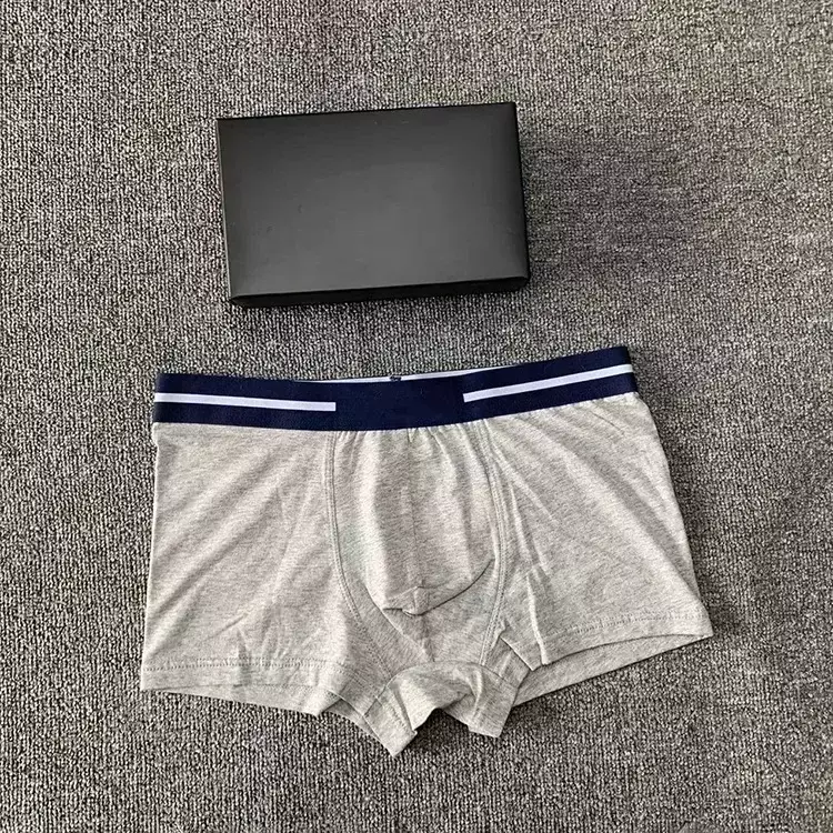 3D Pouch Shorts Underpants Seamless Male Boxer Pants New Fashion Letter Printing Boxershorts Breathable Cotton Men's Underwear