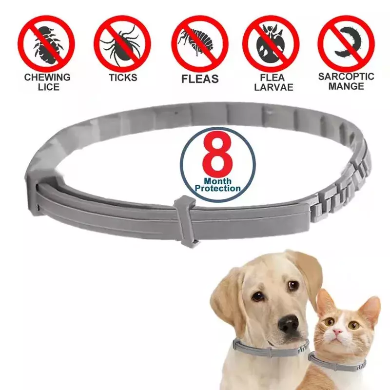 Collari Anti pulci e zecche per cani, collare regolabile di protezione per animali domestici di 8 mesi per cani di taglia grande, accessori per cani