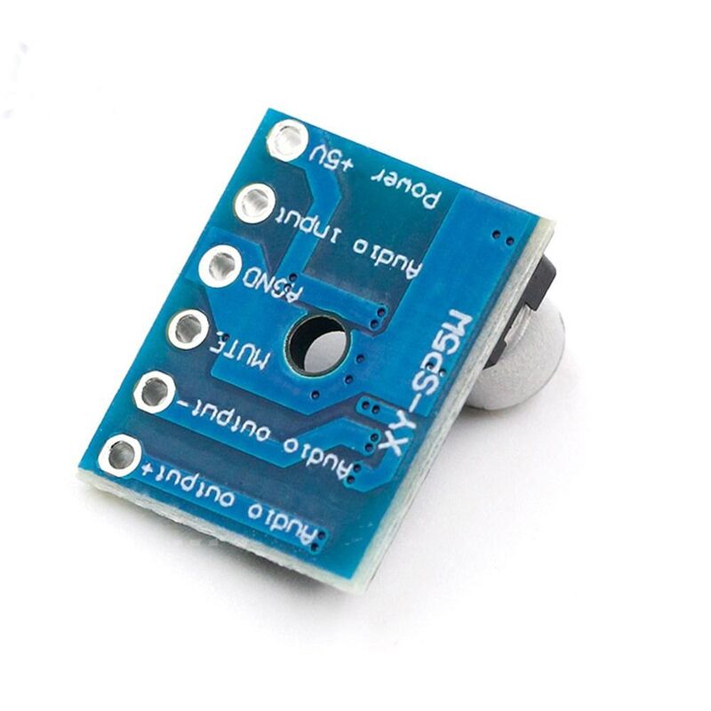 Channe-placa amplificadora de Audio, módulo Amplificador estéreo de CC, placa amplificadora de Audio