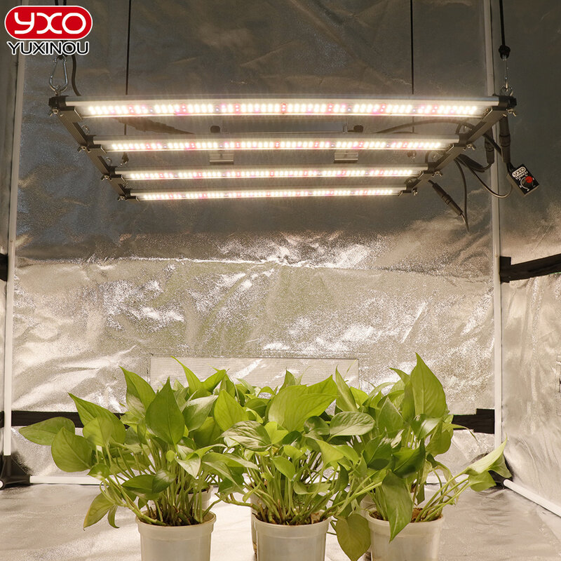Barra de luz LED para cultivo, lámpara de 240w, 320w, sam-ng, LM301H, Quantum Tech, 1000w, controlador Meanwell, para invernadero de flores y plantas de interior