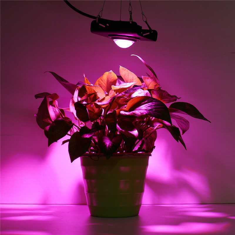 Lampu tumbuh LED COB spektrum penuh, pencahayaan pertumbuhan tanaman untuk tanaman dalam ruangan dan bunga sukulen, lampu, rumah kaca, 50W