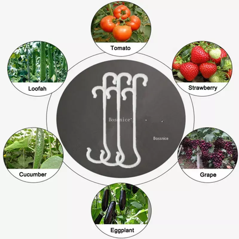 토마토 지지 J 후크 식물 지지 야채 클립, 토마토 과일 무리가 끼거나 떨어지는 것을 방지, 13 cm, 16cm