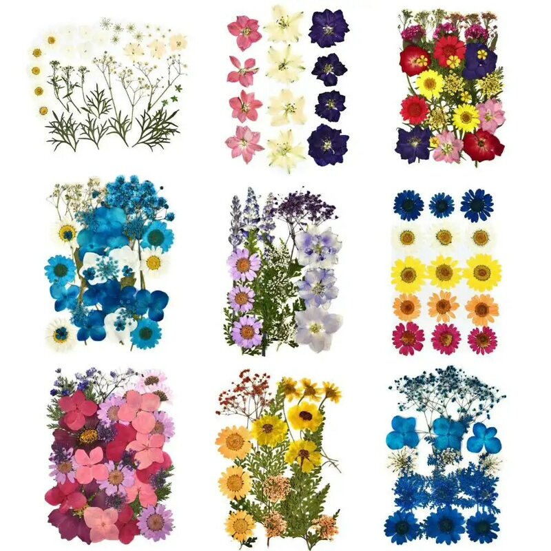 Suszone kwiaty Diy Prasowane kwiaty Naklejki na etui na telefon Biżuteria Rzemiosło Nail Art Decor Diy Party Home Decor
