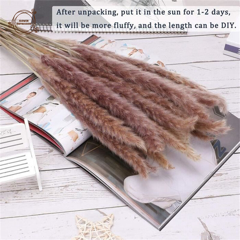 Natural Fluffy Pampas Dried Flowers Bunny Tails Grass Christmas Wedding Bouquets Party Supplies Decoration Boho Home Room Decor