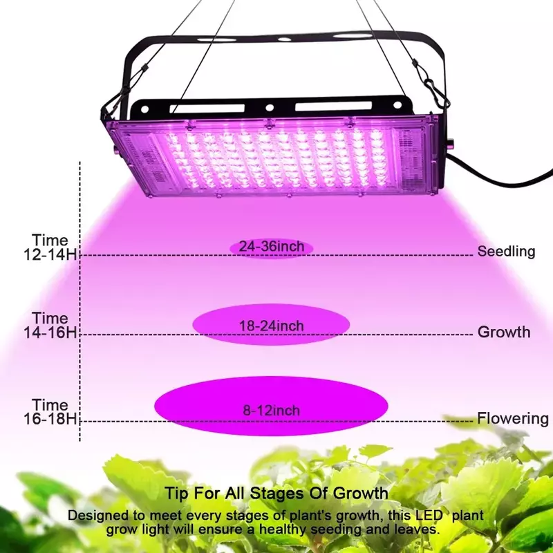 Full Spectrum LED Grow Light, Luz solar imitada Phyto Lamp com interruptor on e off para estufa, Iluminação hidropônica de crescimento vegetal, 50W