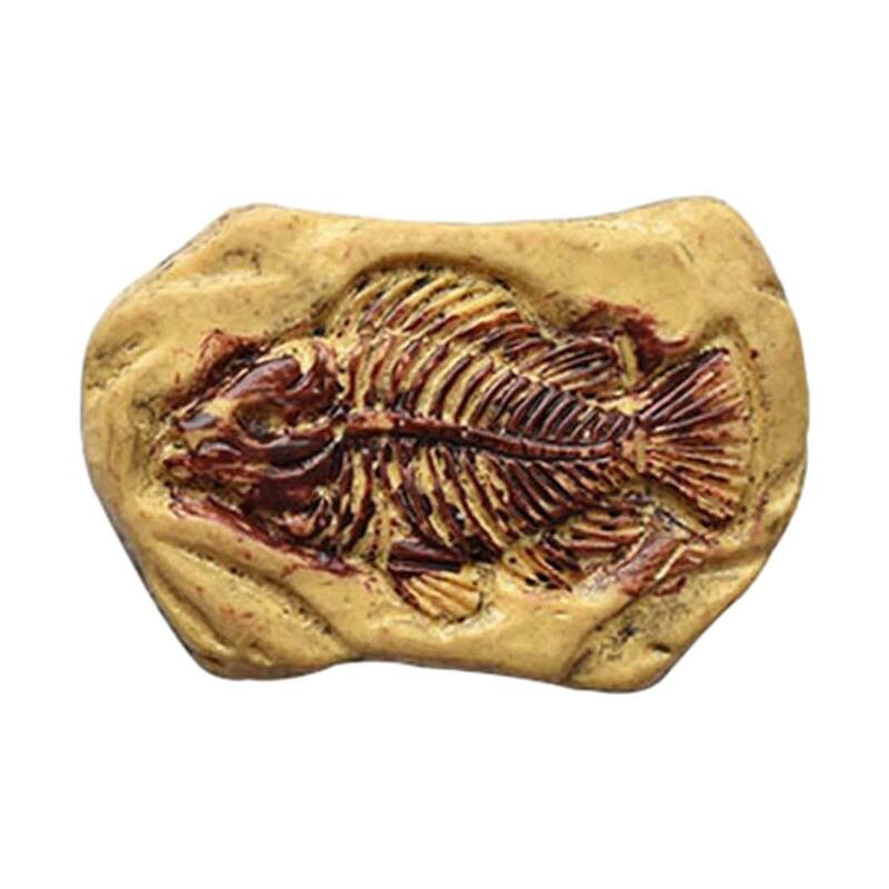 Ornamentos fósseis miniatura, Arqueologia para fazer decoração do telefone, Dollhouse