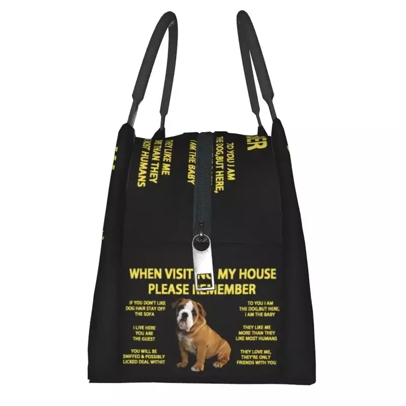 English Bulldog Isolados Lunch Bags para Mulheres, Refrigerador Reutilizável, Caixa Bento Térmica, Adequado para Piquenique Ao Ar Livre