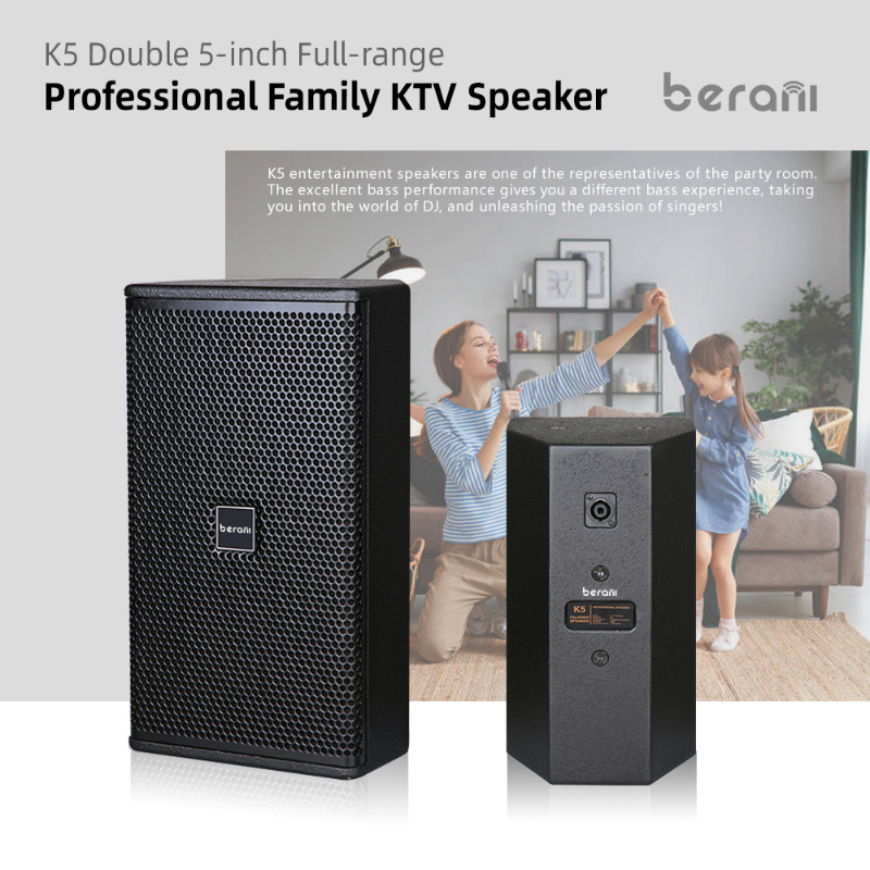 Berani K5  Popular Design  Studio Church Party Box Speaker  Double 5 inch  Home Karaoke Speaker