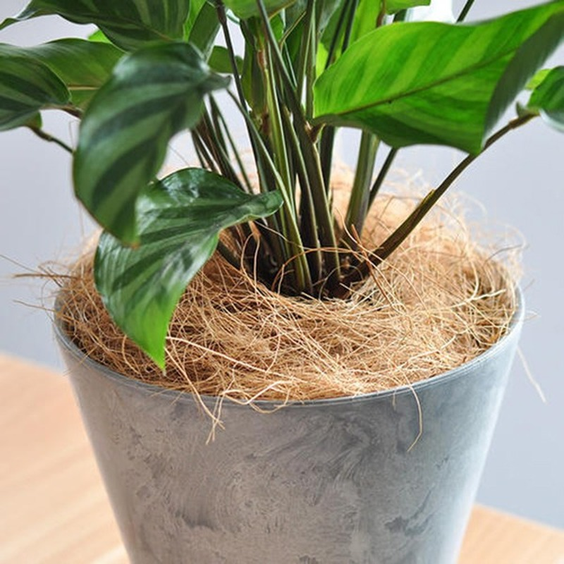 Cobertura de vaso de fibra de casca de coco natural à prova de insetos proteger planta de flor de jardim solo manter quente cama de réptil ninho de pássaro