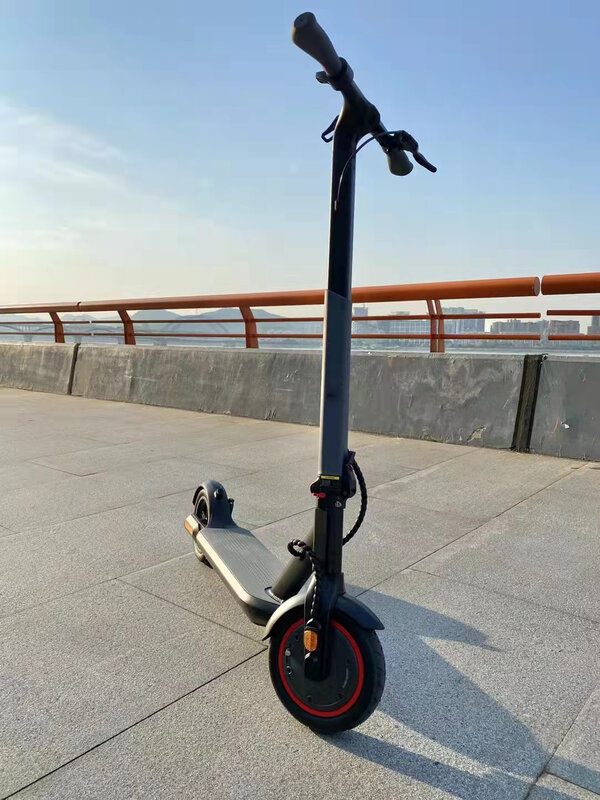 Planche de Cesd'équilibre pour scooter, 350W, 7,5 Ah, 36V