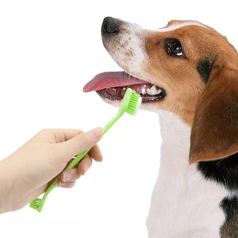 20 Stück Hunde zahnbürste Haustiere Zahnbürsten weiche Hunde doppelseitige Zahnbürste mit langem Griff für Reinigungs mittel für große bis kleine Zähne