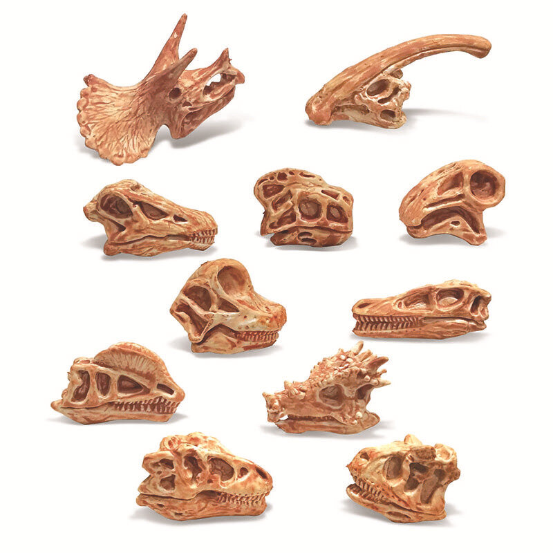 시뮬레이션 공룡 해골 모델, 티라노사우르스 렉스 벨로키랍토르 트리케라톱스, 해골 화석 미니어처 장난감, 피규어 선물, 11 개