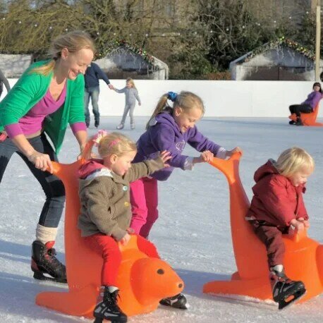 Ayudante de patinaje sobre hielo para niños, material colorido personalizado, asistente de patinaje sobre hielo, dolphin
