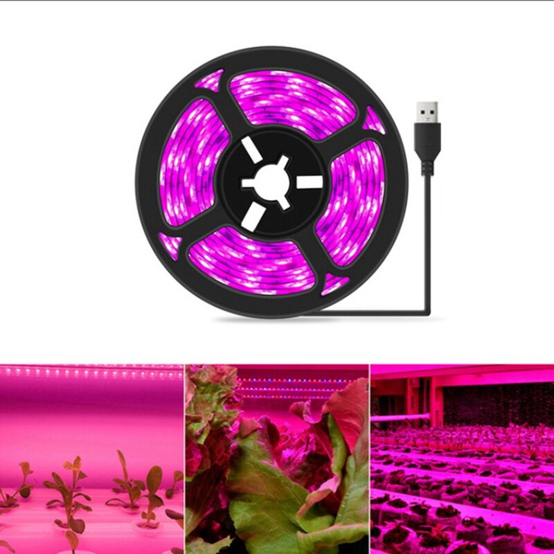 Lampe de croissance LED pour plantes hydroponiques d'intérieur, 5V, 5 mètres, ampoules pour semis, fleur, phyto