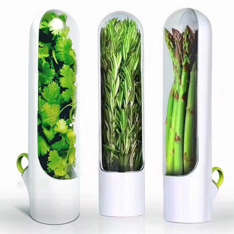 Baunilha Fresh-Keeping Cup Herb Saver Gadgets Mantendo Caixa De Armazenamento Verde
