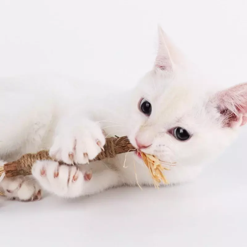 Gato brinquedos silvervine mascar vara petiscos para animais de estimação palitos natural material com catnip para gatos gatinho limpeza dentes gato acessórios katze