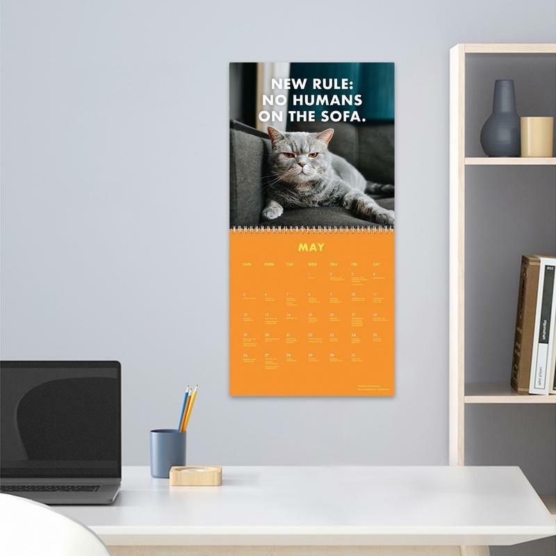 Calendario dei gatti increspati 2024 calendario di pianificazione creativa decorazione del Desktop degli studenti elenco delle cose da fare calendario mensile portatile