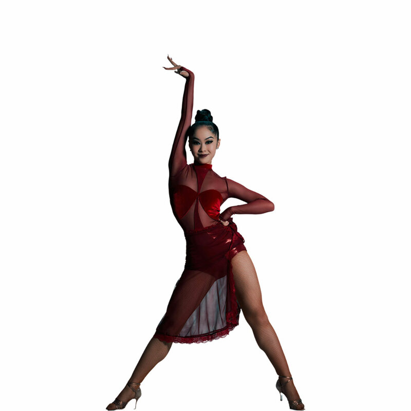 여성 하이칼라 투명 메쉬 레이스 스커트, 라틴 댄스 하이엔드 원피스, 성인 무대 전문 의상