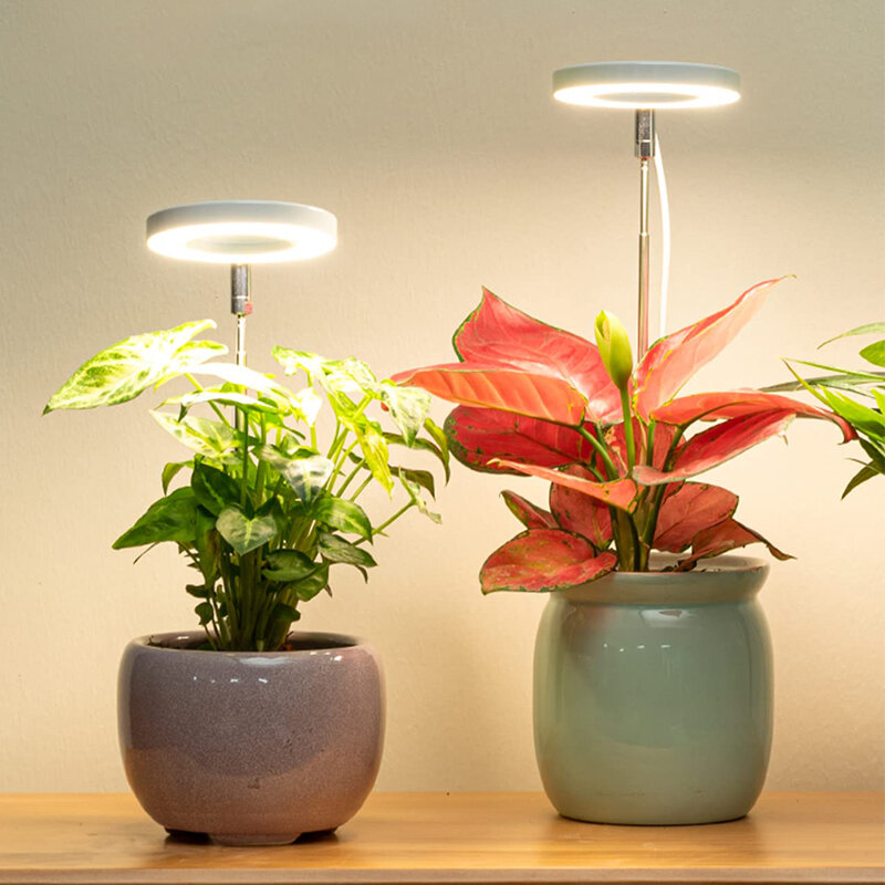 Lampe de croissance LED USB 5V à spectre complet, réglable en hauteur, lampe de croissance à intensité variable avec minuterie pour plantes d'intérieur et herbes