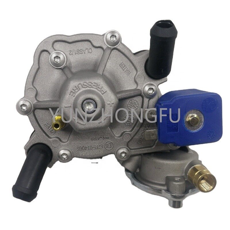 At09 Type Pressure Reducer for Lpg Conversion Kit Lpg Autogas