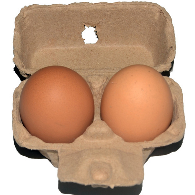 Domowe puste kartony na jajka stojak na jajka masa papierowa kartony na jajka masa papierowa pojemniki na jajka do domowej restauracji kuchennej