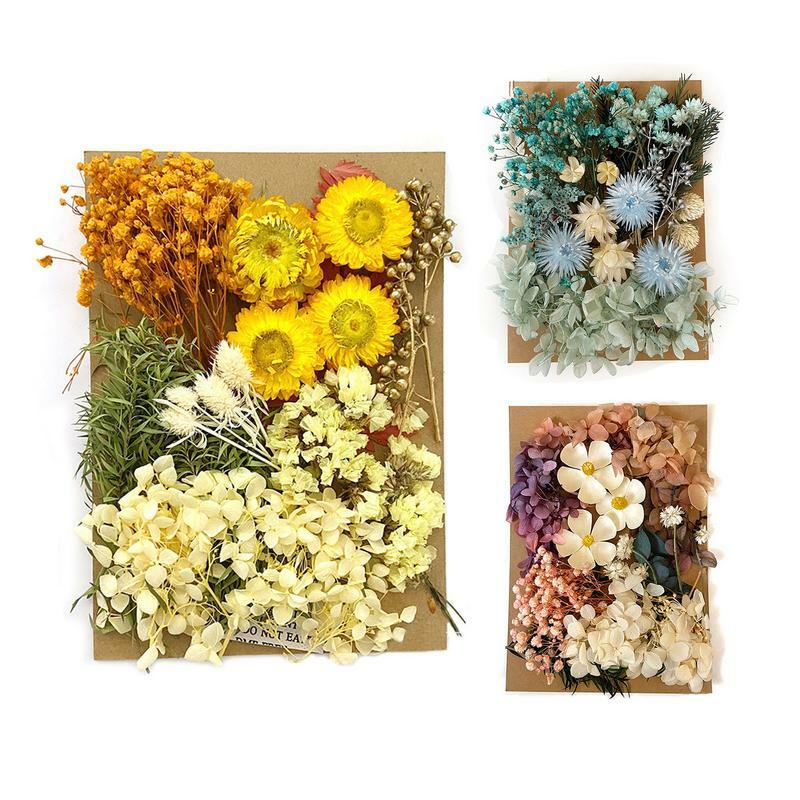 Flores Secas para Flores de Resina, Folhas De Flores Naturais Secas, Flores Secas Coloridas, Decoração De Flores Secas Reais, Folhas pressionadas
