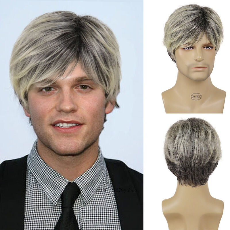 Natural Synthetic Hair Short Mix Grey Wig with Bangs for Men Male Layered Straight Daily Costume Party Halloween Heat Resistant
