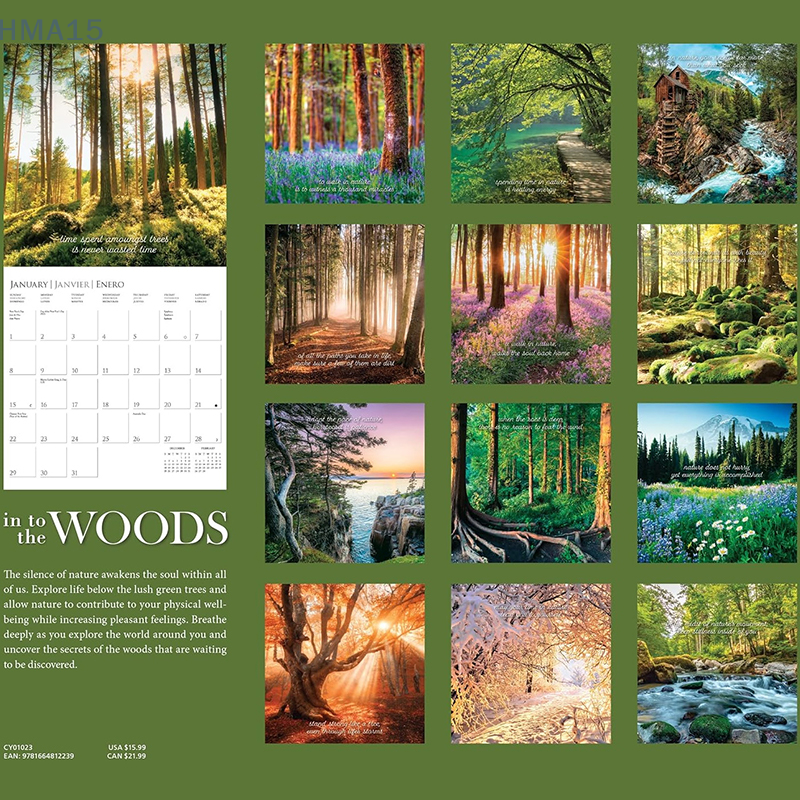 2024 Wall Calendar Into The Woods Thick Paper Home & Office Organizer Large Monthly Grid Marked Holidays Calendars 2024 For Home