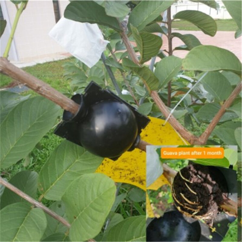 Dispositivo de enraizado de plantas estratificadas de aire, Bola de enraizado, dispositivo de cultivo de plántulas de árboles frutales de jardín