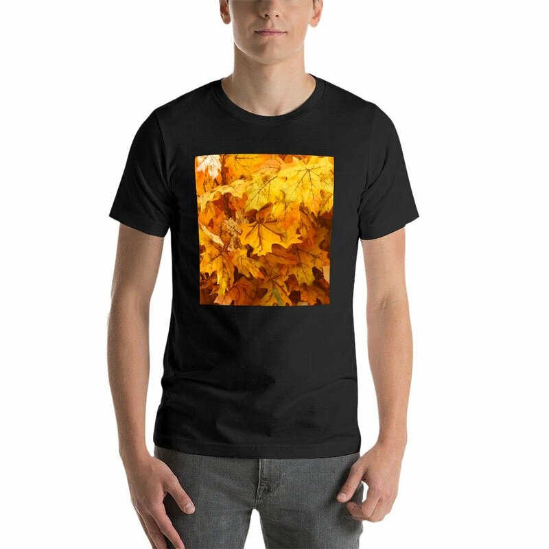 T-shirt graphique de couleur or et pastel pour hommes, art de feuilles d'oranger, coutumes noires, vêtements mignons, hip hop, automne