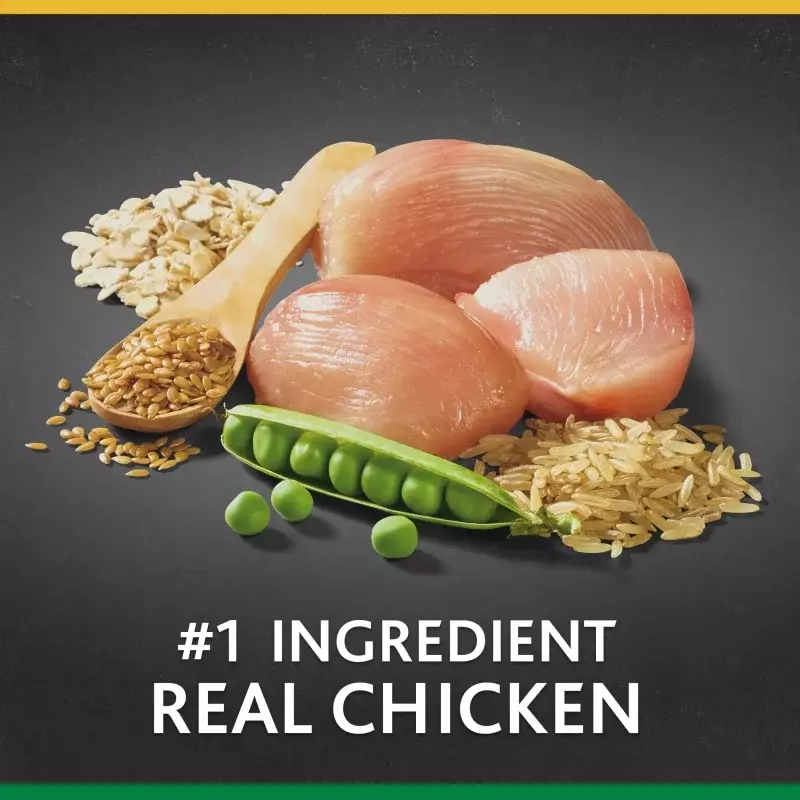 Pure Balance Pro pollo di taglia grande e riso integrale ricetta cibo secco per cani, 30 libbre