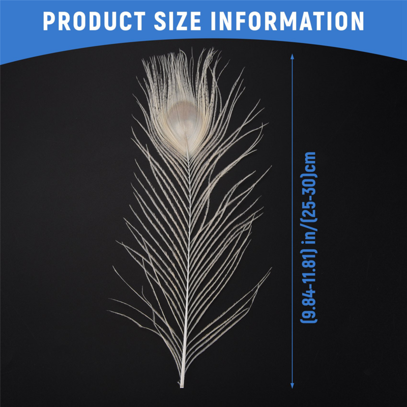 50 PCS/Natural White Feathers in the Eye, 10 to 12 Inches of the Feather Wedding Decoration