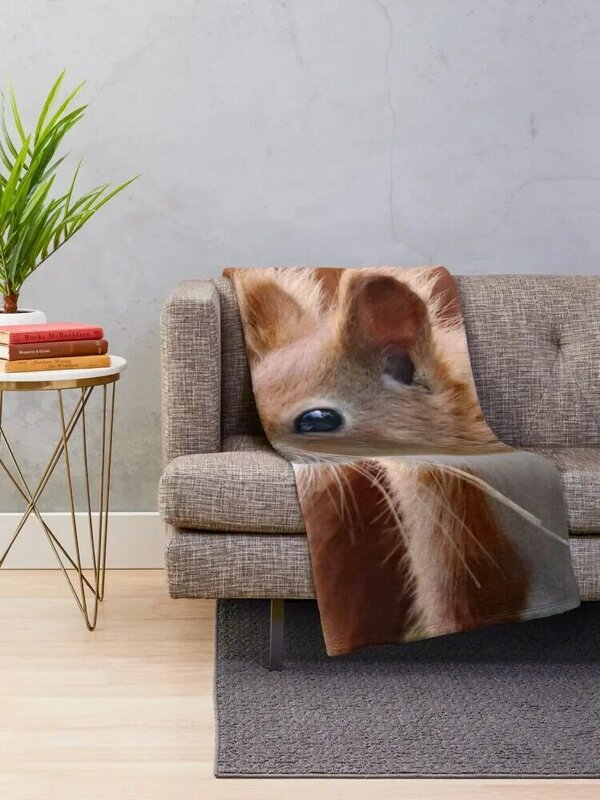 Een Prachtige Rode Eekhoorn Gooien Deken Voor Decoratieve Bank Voor Sofa Dekens